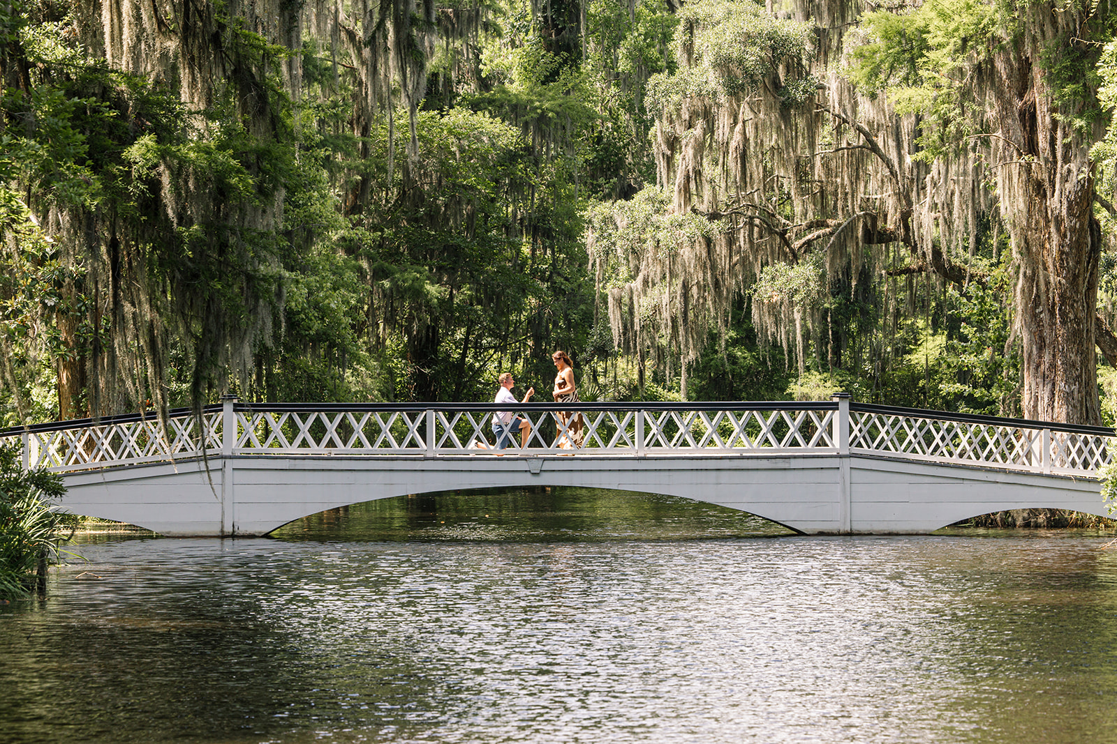 A couple on a garden bridge surrounded by moss draped trees